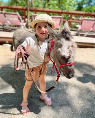 Máme pro vás NOVINKY! 🤩 Ve farmaparku si teď můžete užít úplně nové zážitky s našimi zvířátky. Které to jsou? ⬇️ 🫏 Zážitek...