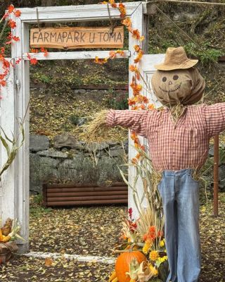 Konečně je to tady! 🎃 Už od zítřka až do úterý se Farmapark u Toma promění v naprosto magické místo. 🍁 Těšit se můžete na...