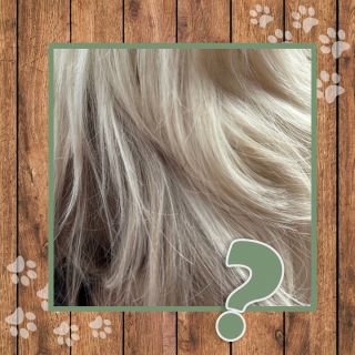 Poznejte zvířátko na obrázku a vyhrajte rodinnou vstupenku! 😍 Opět přicházíme s vaší oblíbenou soutěží „POZNEJ ZVÍŘE“!...