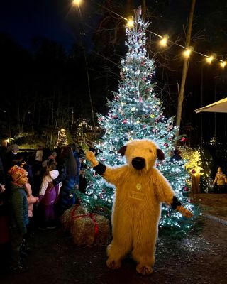 Taky vás ten vánoční čas vždycky tak rozněžní? 🤗 Všude samá světýlka, tradice i pocit, že jsme si všichni o kousek blíž. 🩷...