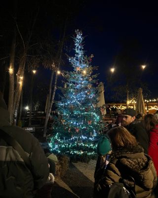 Včerejší den patřil rozsvícení našeho vánočního stromečku a my děkujeme všem, kteří přišli, zpívali, tvořili a užili si...
