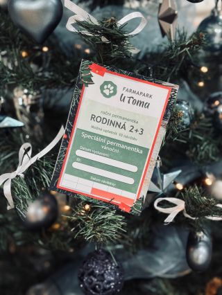🎄 Dárek, který se neztratí a opravdu se vyplatí? Řeč je o naší limitované vánoční permanentce 7+3 ZDARMA! 😍 A proč je tak...