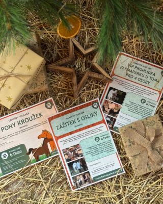 😮 „Cože? Ty ještě nemáš žádný dárek?“ Patříte mezi ty, kteří tuhle větu slýchají pravidelně? A taky vás to nechává úplně v...