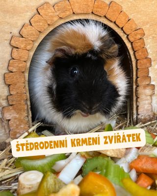 Ještě než zasednete ke štědrovečernímu stolu a rozdáte si dárečky 🎁, zveme vás na Štědrý den, 24. 12., na naši krásnou...